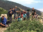 Bat Host Michael answering questions, Science Camp 2016 - Robin Rosenberg